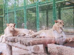 -上海野生动物园