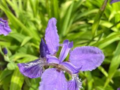 -云峰山自然风景区