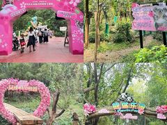 -广州长隆野生动物世界