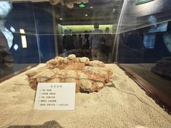 -大同煤炭博物馆