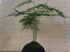 -宣和苑(华侨新村店)