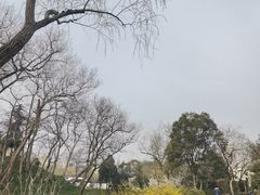 -扬州大运河文化旅游度假区·盆景园