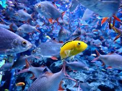 -成都浩海立方海洋公园