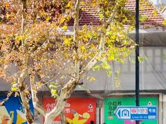 -大韩民国临时政府旧址