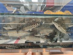 -川人百味(亿合城店)