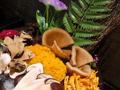 鲜杂菌菇拼盆-捞王锅物料理(凯旋路店)