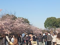 -自然谷恐龙园