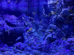 -成都浩海立方海洋公园