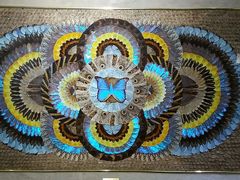 -上海昆虫博物馆