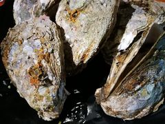 -烧蠔帮·生蚝海鲜牌档(观海店)