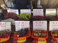 -马陆小张葡萄园农家乐