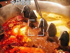 -湊湊火锅·茶憩(皇姑万象汇店)