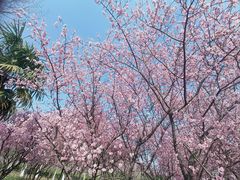 -白塘生态植物园