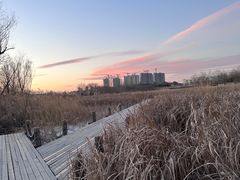 -马家湾湿地公园