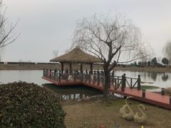 -苏州湾·王焰温泉