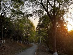 -白鹭湾湿地公园