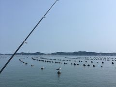 -兴旺渔家