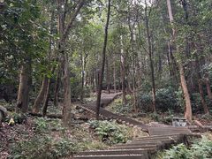 -火炉山森林公园