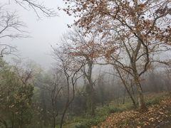 -灵顺寺