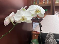 -二酉书店TOYOU BOOKS