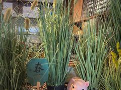 -春家·非遗手工小吃(徐汇万科广场店)