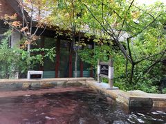 -汉拿山温泉度假酒店