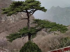 -圣莲山风景区