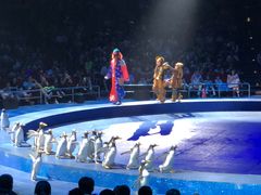 -珠海横琴长隆《卡卡虎奇遇记》