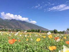 -欢唱KTV(映月湖环宇城店)