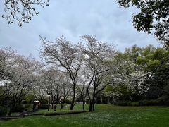 -中国茶叶博物馆(双峰馆区)