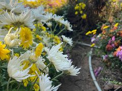 -攀枝花公园