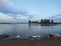-郑东新区湿地公园