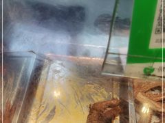 -北京王府井烤鸭(泰兴店)