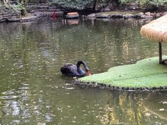 -大鹅岛绿色生态美食园