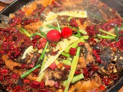 -老板恋上鱼(恒隆广场店)