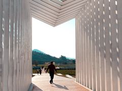 -风云岭森林公园