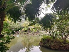 -呀诺达热带雨林
