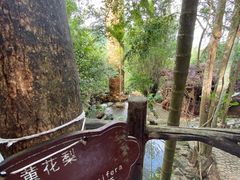 -海南槟榔谷黎苗文化旅游区