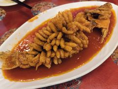 松鼠桂鱼-玉华台饭庄(裕中西里小区店)