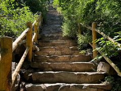 -北京西山国家森林公园