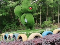 -成都松鼠部落