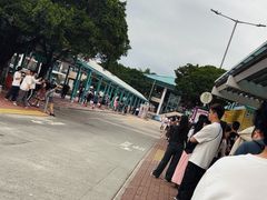 -Big Bus Tours 敞篷观光巴士