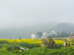 -新安江山水画廊风景区
