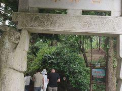 -四明山国家森林公园