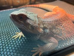 -酷嗒动物文化乐园(cutezoo西溪乐天城店)