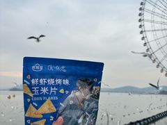 -蠡湖大桥公园