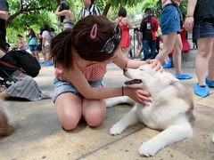 -TrueLove @ Neverland (Husky Cafe)
