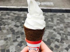 -富豪雪糕车流动点(尖沙咀店)