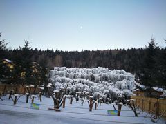 -雪谷