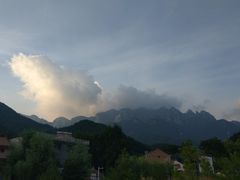 -王顺山国家森林公园